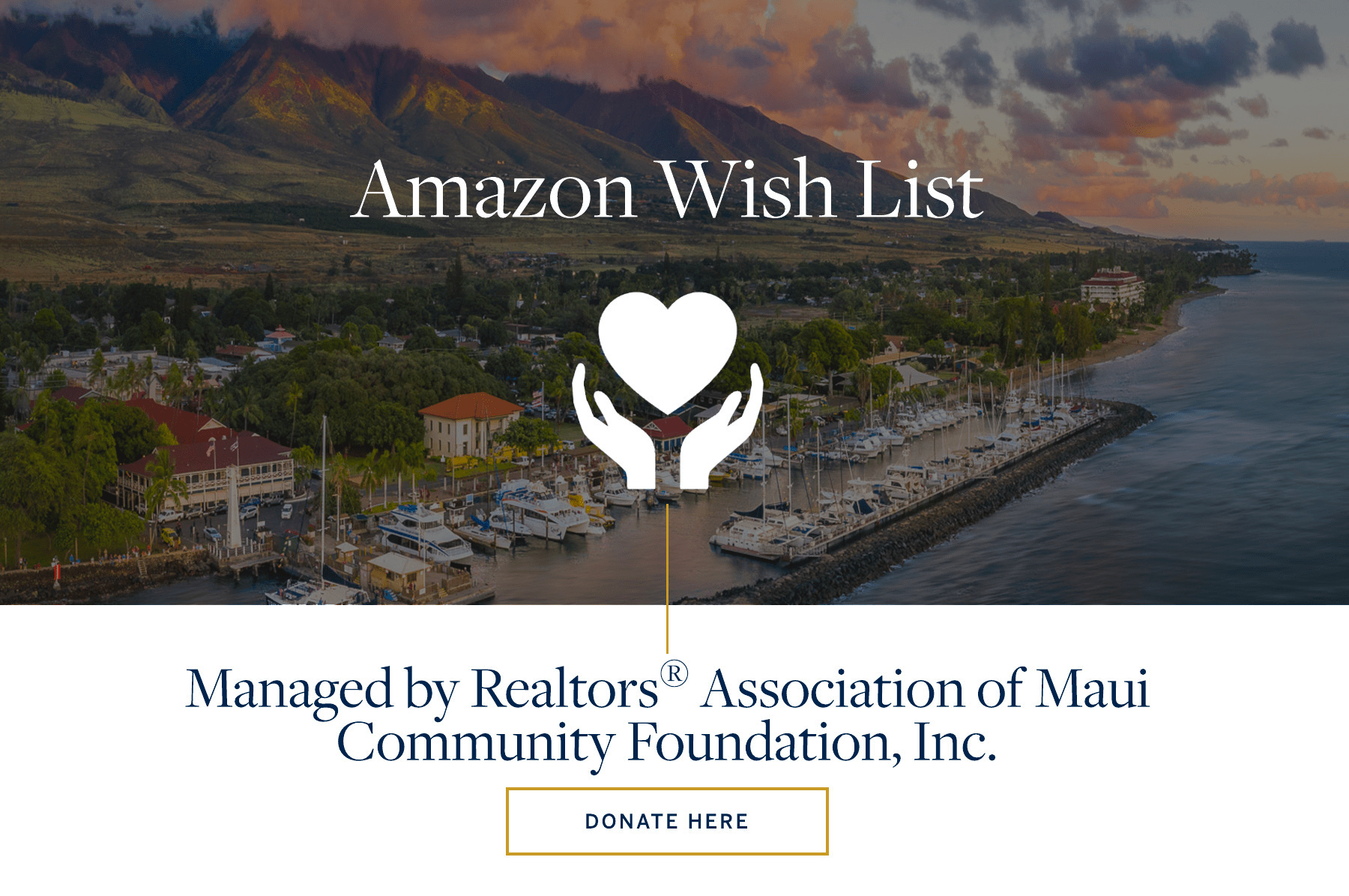 Maui Amazon Wish List